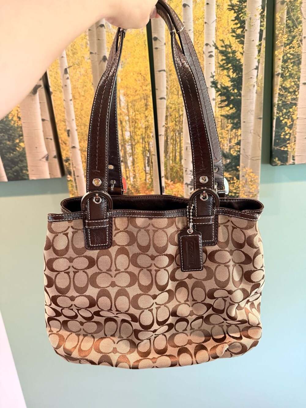 Coach Soho Signature Tote Bag Canvas and Leather Trim Hobo (H1160-F17401)